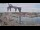 Webcam in Juelsminde, 24.9 mi away