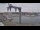 Webcam in Juelsminde, 28.2 km