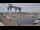 Webcam in Juelsminde, 12.3 mi away