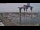 Webcam in Juelsminde, 145.2 km