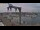 Webcam in Juelsminde, 54.3 km entfernt