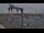 Webcam in Juelsminde, 55.4 km
