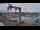 Webcam in Juelsminde, 10.7 mi away