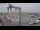Webcam in Juelsminde, 37.6 mi away