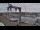 Webcam in Juelsminde, 21.4 mi away