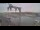Webcam in Juelsminde, 49.1 mi away