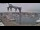 Webcam in Juelsminde, 10.9 mi away
