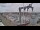 Webcam in Juelsminde, 32.3 mi away