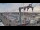 Webcam in Juelsminde, 24.9 mi away