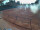 Webcam in Forchheim, 7.9 mi away