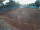 Webcam in Forchheim, 30 km entfernt