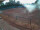 Webcam in Forchheim, 13.2 mi away