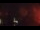 Webcam in Naples, Florida, 68.7 mi away