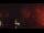 Webcam in Naples, Floride, 178 km