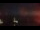 Webcam in Naples, Florida, 180.7 km