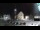 Webcam in Tarvisio, 1.6 mi away