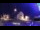Webcam in Tarvisio, 6.9 km
