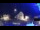 Webcam in Tarvisio, 0 km entfernt