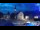 Webcam in Tarvisio, 13 km