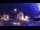 Webcam in Tarvisio, 11.3 km