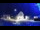 Webcam in Tarvisio, 11.1 km entfernt