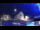 Webcam in Tarvisio, 0.1 mi away