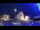 Webcam in Tarvisio, 0.2 km entfernt