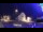 Webcam in Tarvisio, 4.3 mi away
