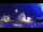 Webcam in Tarvisio, 5.1 mi away