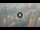 Webcam in Dubai, 183.2 mi away