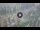 Webcam in Dubai, 375.5 km entfernt