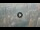 Webcam in Dubai, 328.1 mi away