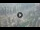 Webcam in Dubaï, 364.9 km