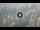 Webcam in Dubai, 375.5 km