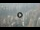 Webcam in Dubai, 147.9 mi away