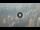 Webcam in Dubai, 18.1 km