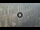 Webcam in Dubai, 39.7 mi away