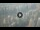 Webcam in Dubaï, 95.3 km
