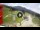 Webcam in Bormion, 2.1 km