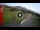 Webcam in Bormio, 11.4 km