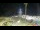 Webcam in Ceriale, 4.7 km entfernt