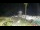 Webcam in Ceriale, 11.6 km entfernt