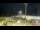 Webcam in Ceriale, 33.6 km