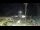 Webcam in Ceriale, 9.1 km