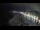 Webcam in Guarujá, 447.3 km entfernt