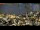 Webcam in Lisboa, 3.4 km
