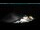 Webcam in Stelvio Pass, 0.1 km