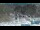 Webcam al Passo dello Stelvio, 0.2 km