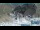 Webcam at the Stelvio Pass, 0.1 mi away
