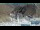 Webcam in Stelvio Pass, 0.2 km